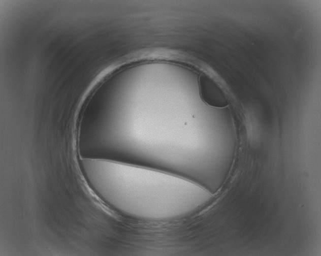 X0000081491232200701121103