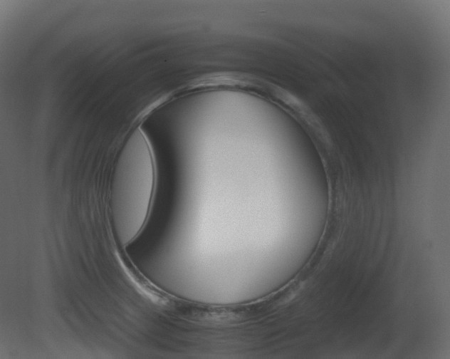 X0000081491233200701121103