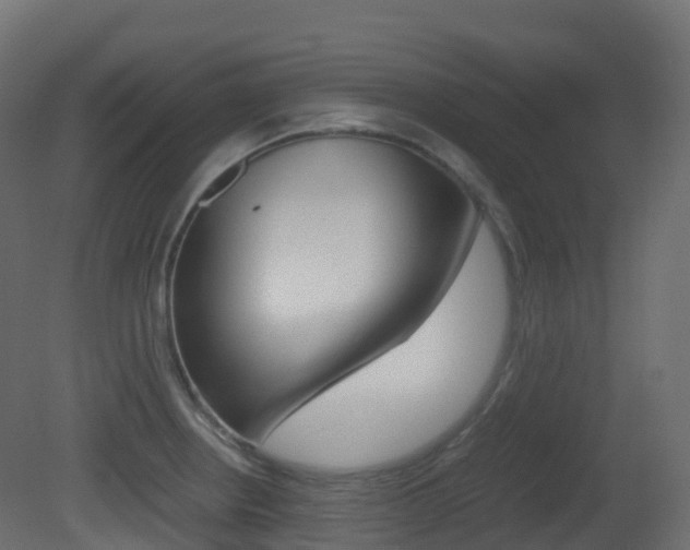 X0000081491234200701121103
