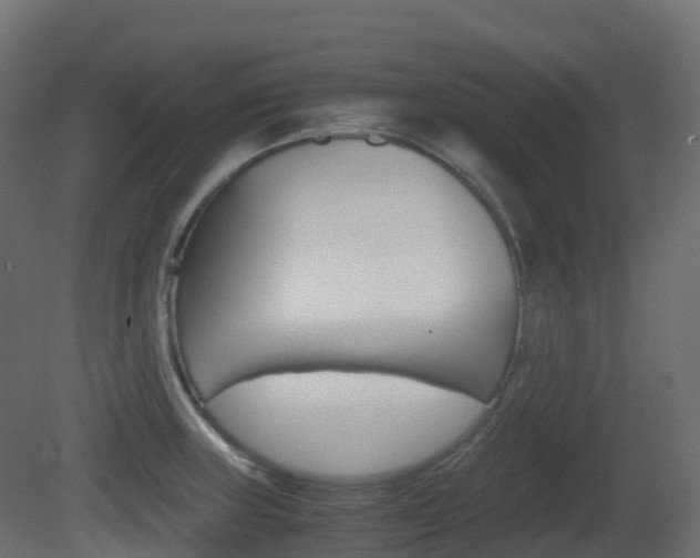 X0000081491235200701121103