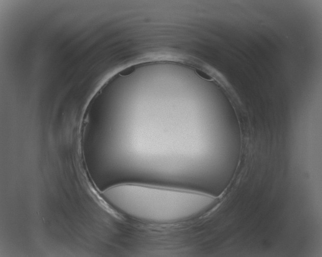 X0000081491236200701121104