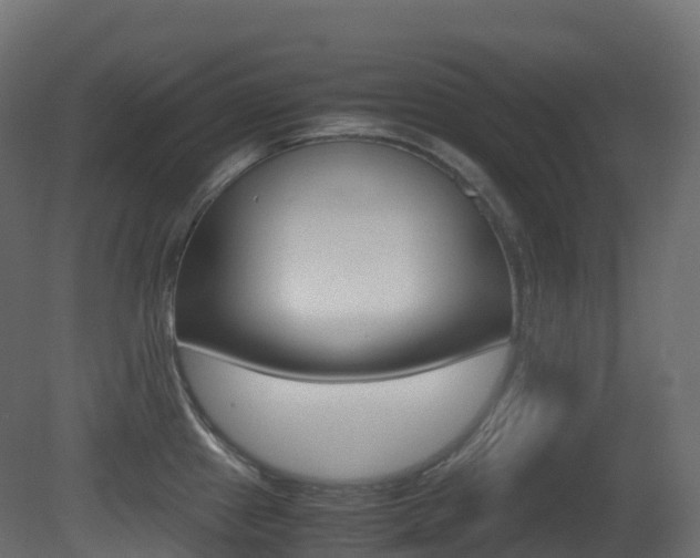 X0000081491241200701121104