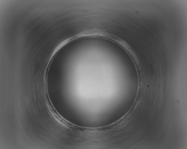 X0000081491242200701121104