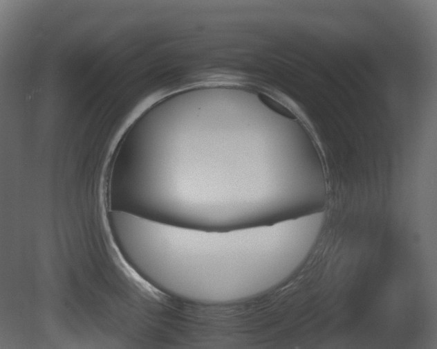 X0000081491243200701121104
