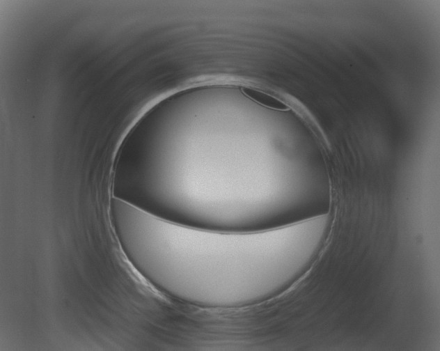 X0000081491244200701121104