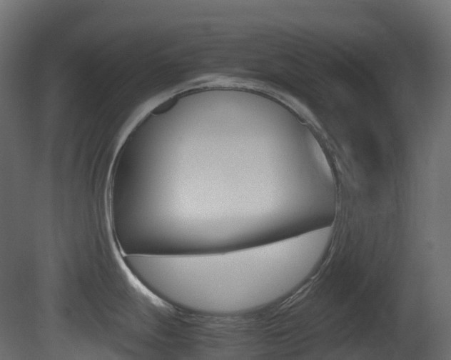 X0000081491247200701121104
