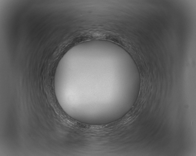 X0000081491249200701121103
