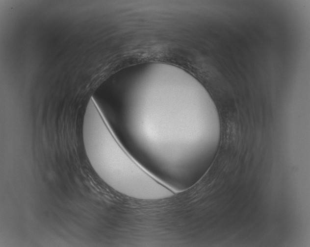 X0000081491250200701121103