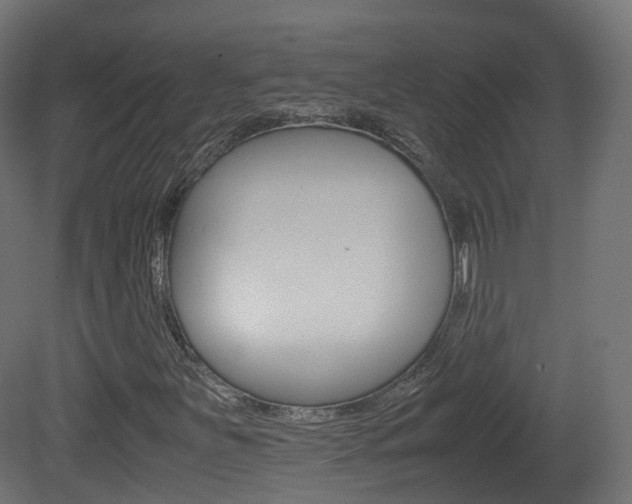 X0000081491251200701121103