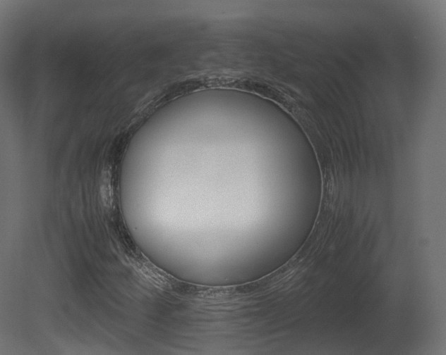 X0000081491252200701121103