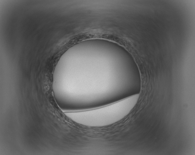 X0000081491253200701121103