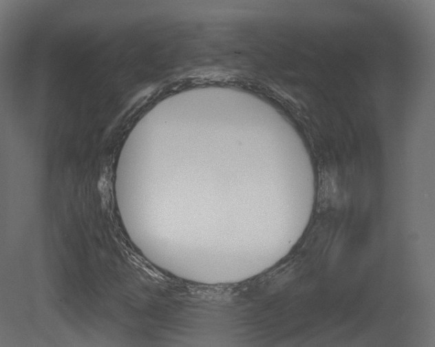 X0000081491254200701121103
