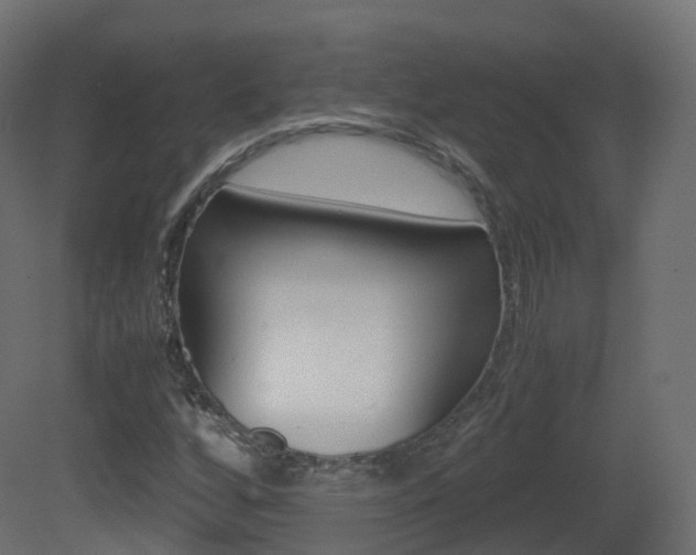 X0000081491256200701121103