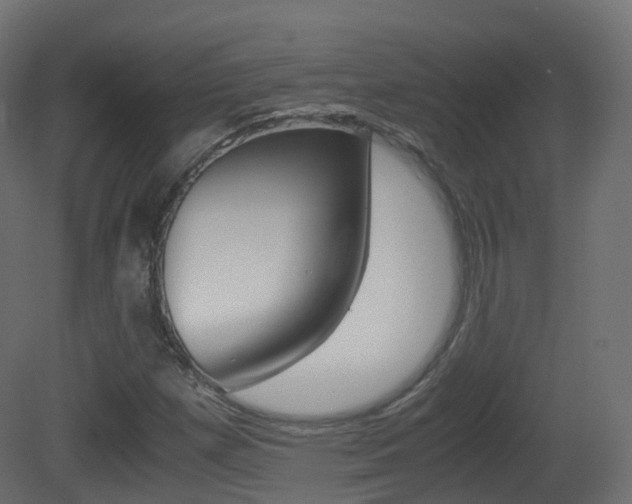 X0000081491257200701121103