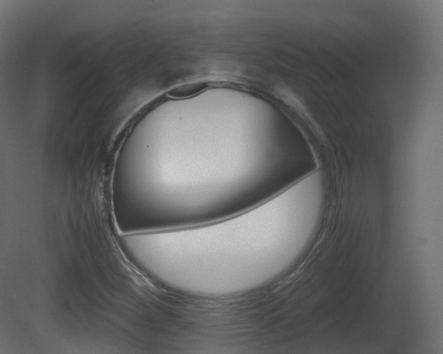 X0000081491260200701121103
