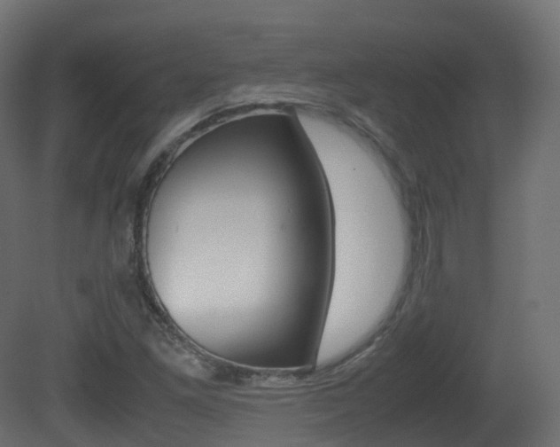 X0000081491261200701121103