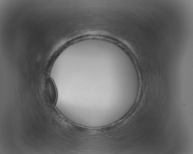 X0000081491263200701121103