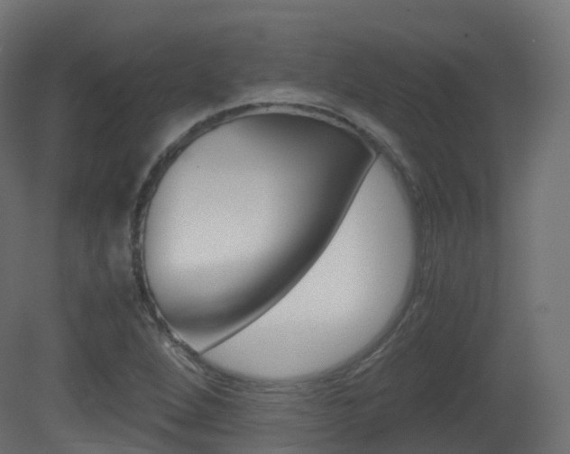 X0000081491264200701121103