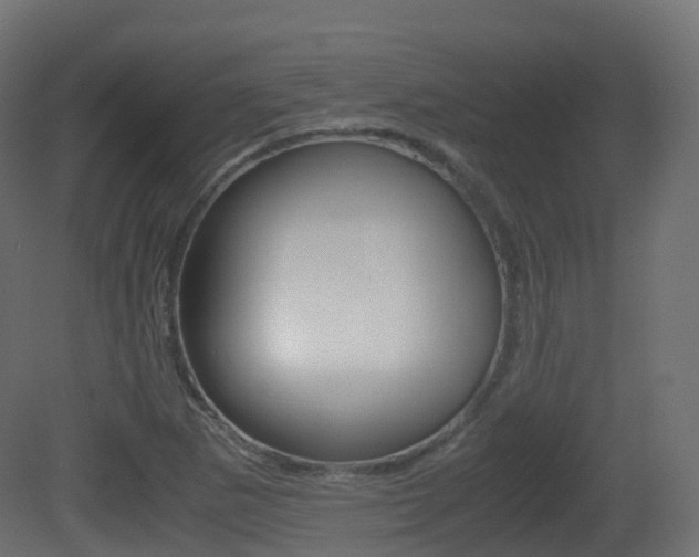 X0000081491265200701121103