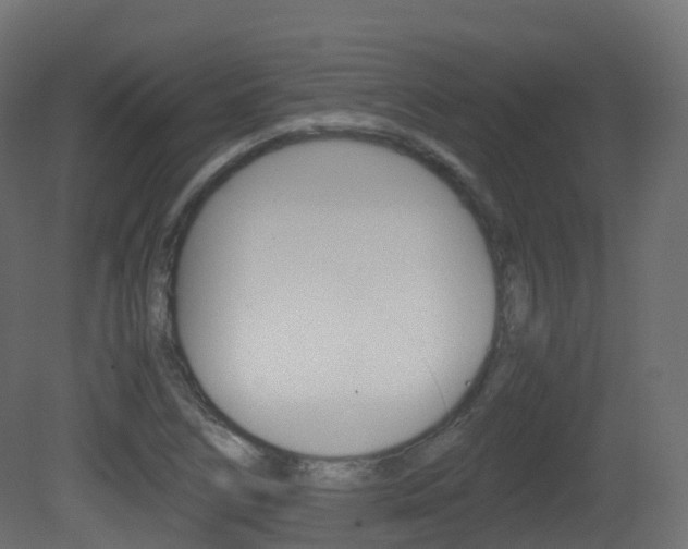 X0000081491266200701121103