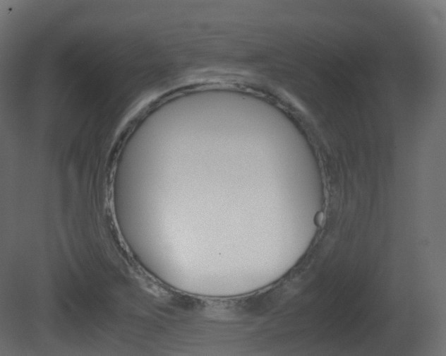 X0000081491267200701121103