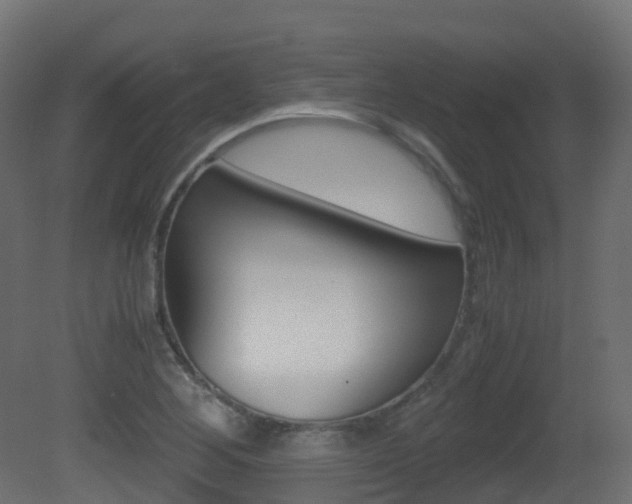 X0000081491268200701121103