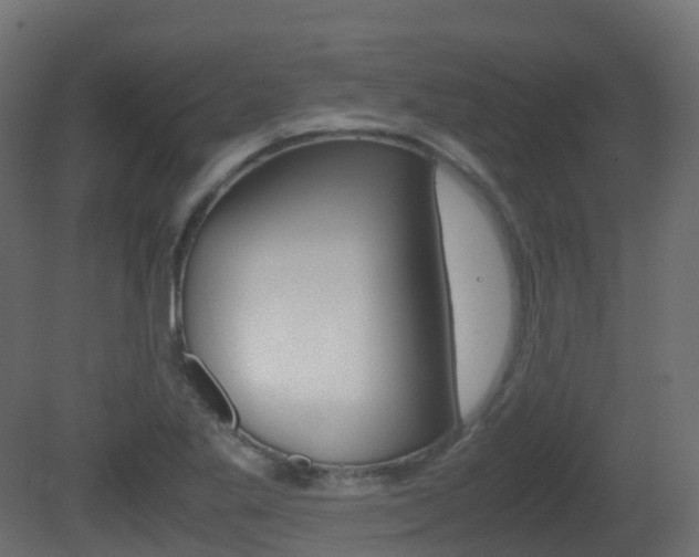 X0000081491269200701121103