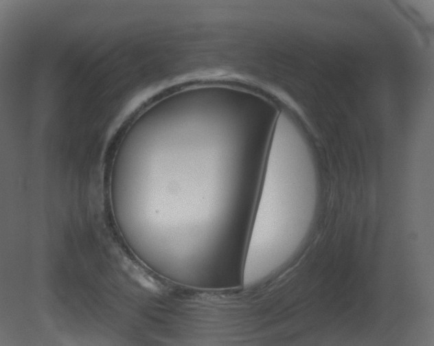 X0000081491270200701121102