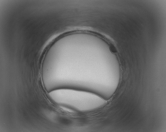X0000081491271200701121102