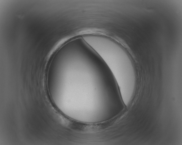 X0000081491277200701121102
