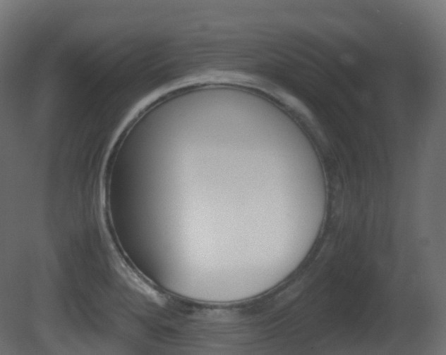 X0000081491280200701121102