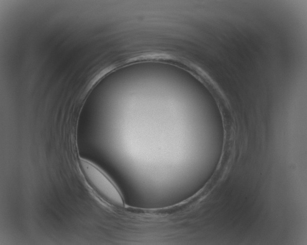 X0000081491281200701121102