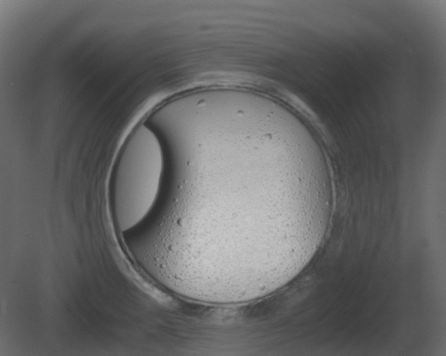 X0000081491283200701121102