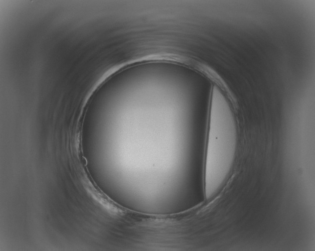X0000081491284200701121102