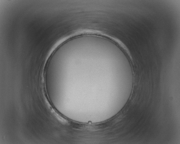 X0000081491287200701121102
