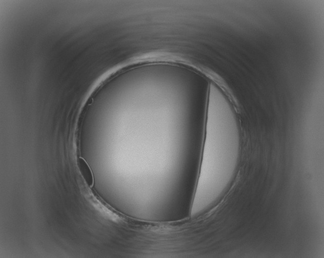 X0000081491288200701121102