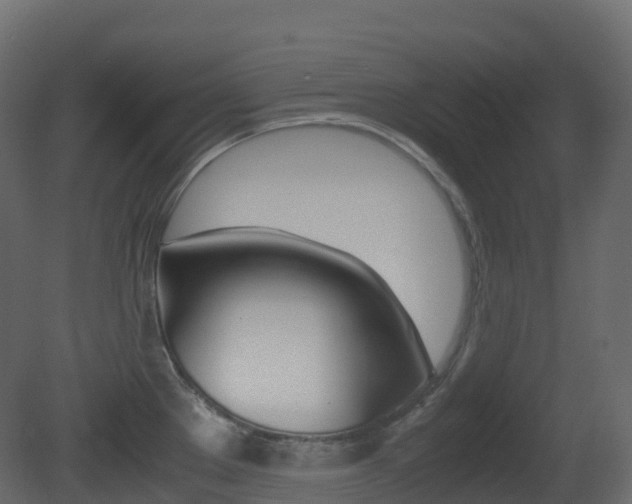 X0000081491289200701121102