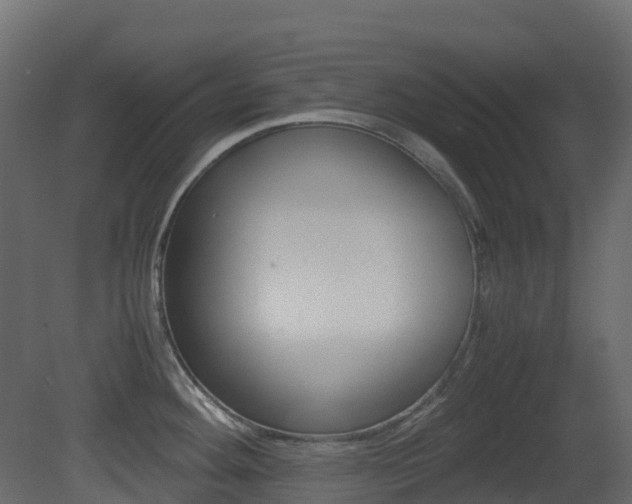 X0000081491292200701121102
