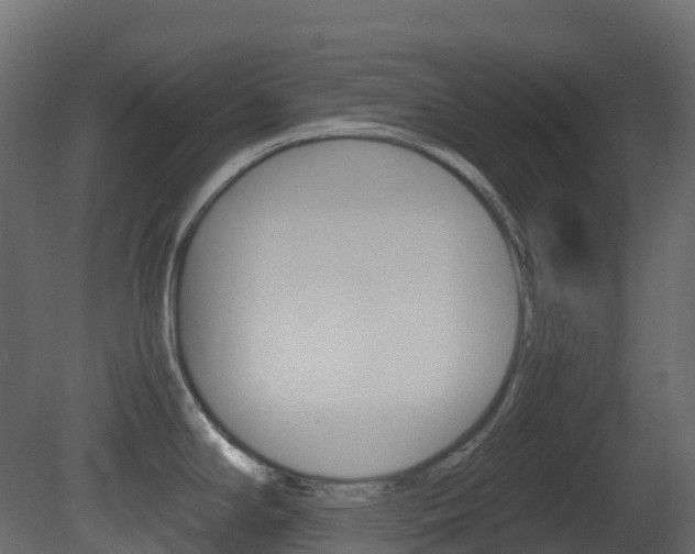 X0000081491294200701121102