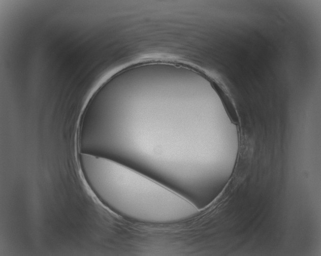 X0000081491295200701121102