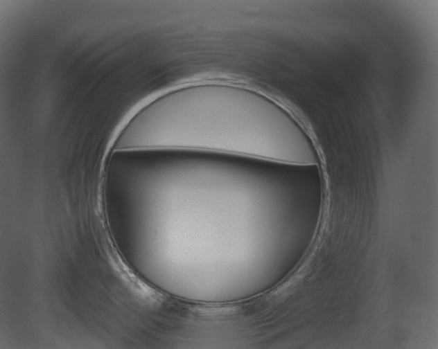 X0000081491296200701121102
