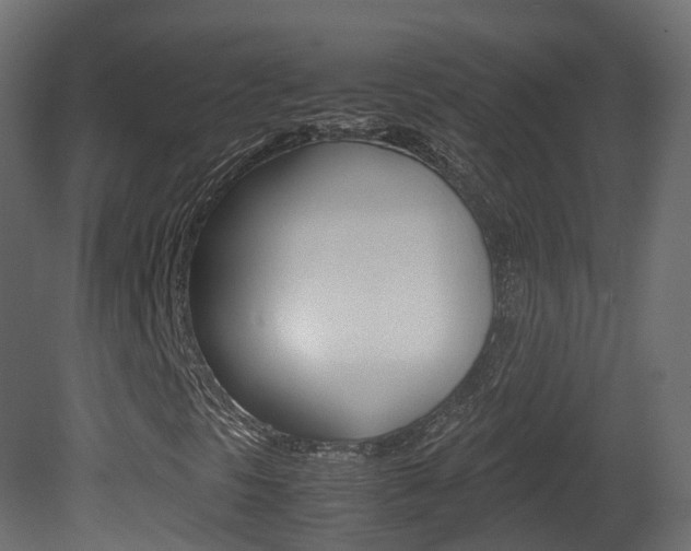 X0000081491297200701121101