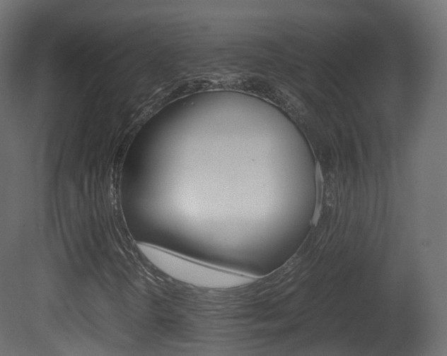 X0000081491298200701121101