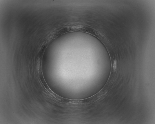 X0000081491299200701121101