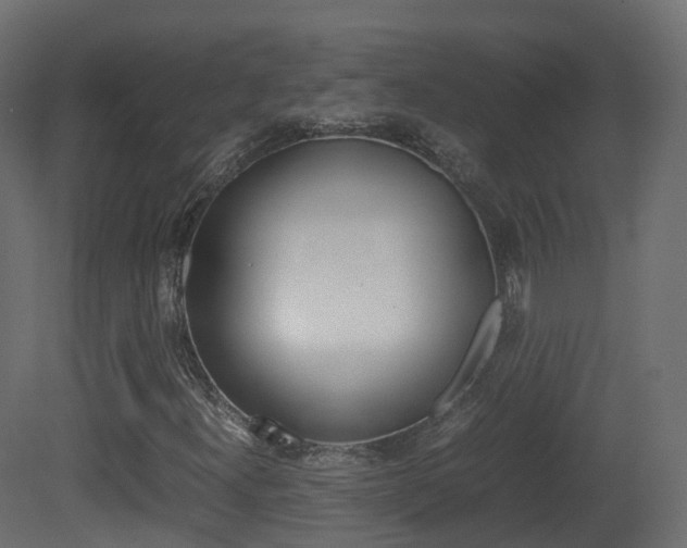 X0000081491300200701121101