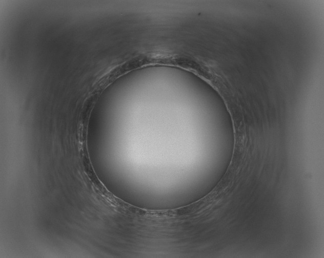 X0000081491301200701121101