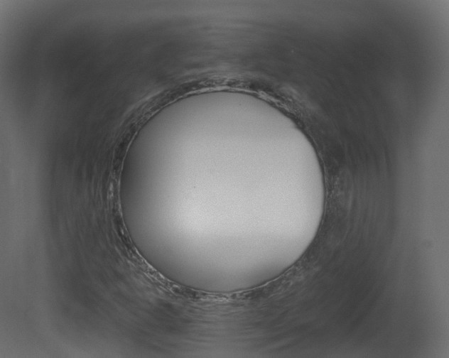 X0000081491302200701121101