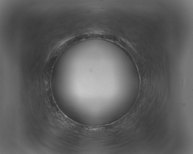 X0000081491303200701121101