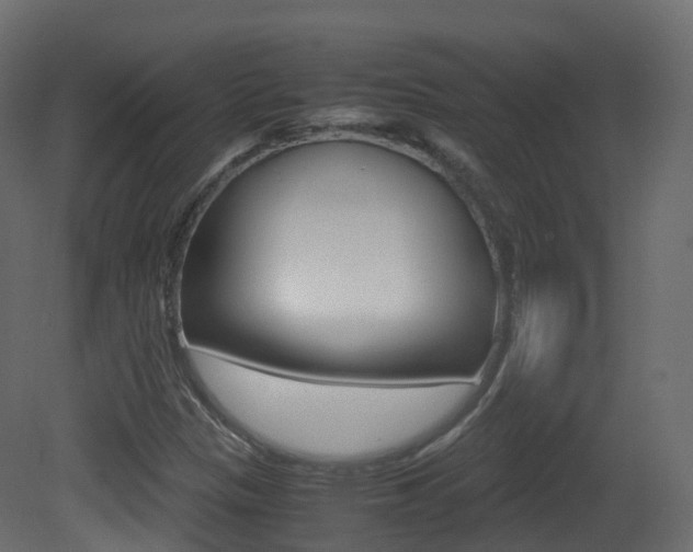 X0000081491305200701121101
