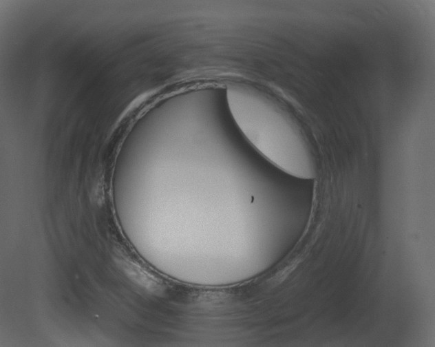 X0000081491306200701121101